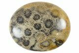 Fossil Coral Pocket Stones From Indonesia - 1.9" Size - Photo 2
